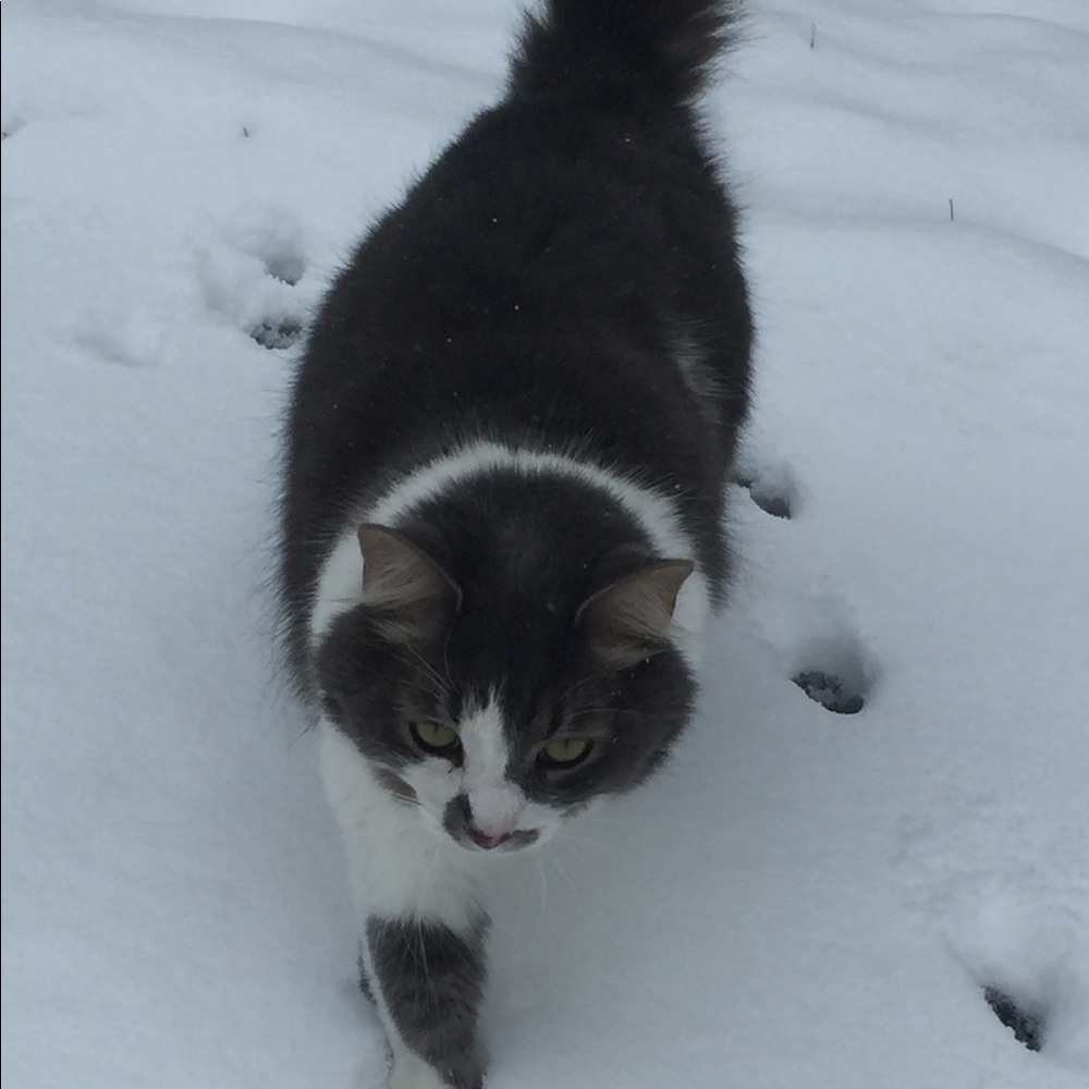 Meet your Posher, Debi